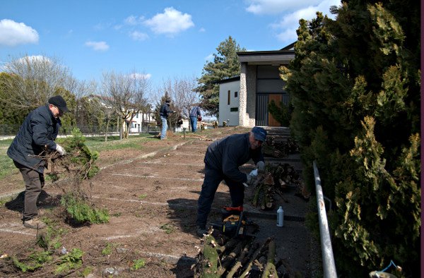 Mobirise Website Builder