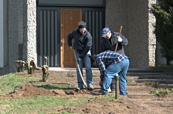 Mobirise Website Builder